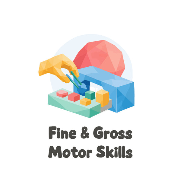 Fine and Gross Motor Toys