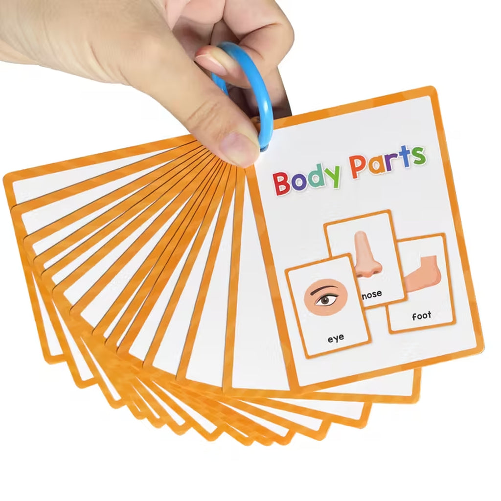 Body Parts Flashcards
