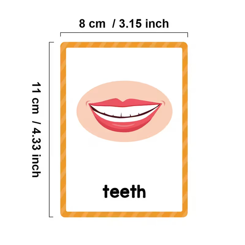 Body Parts Flashcards