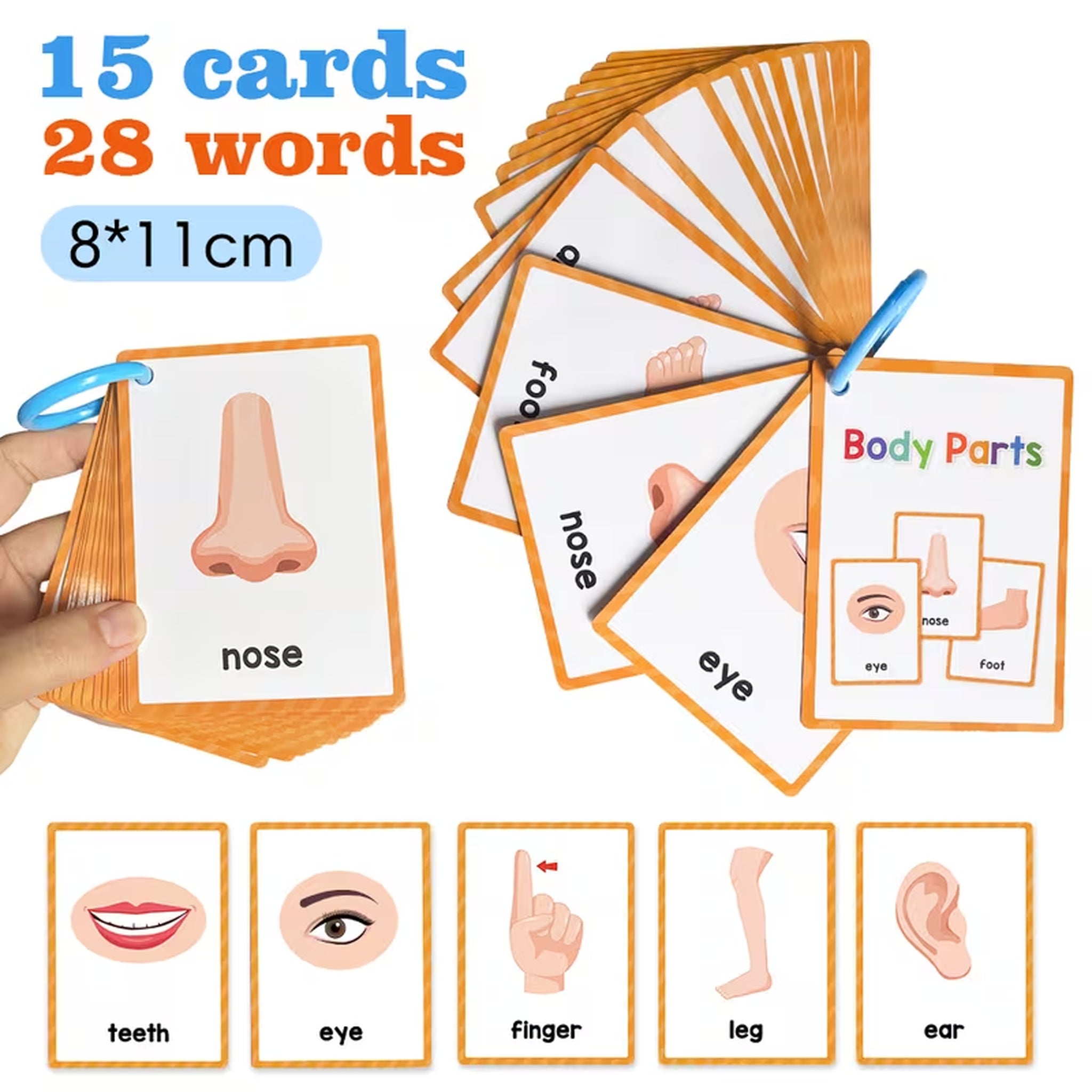 Body Parts Flashcards