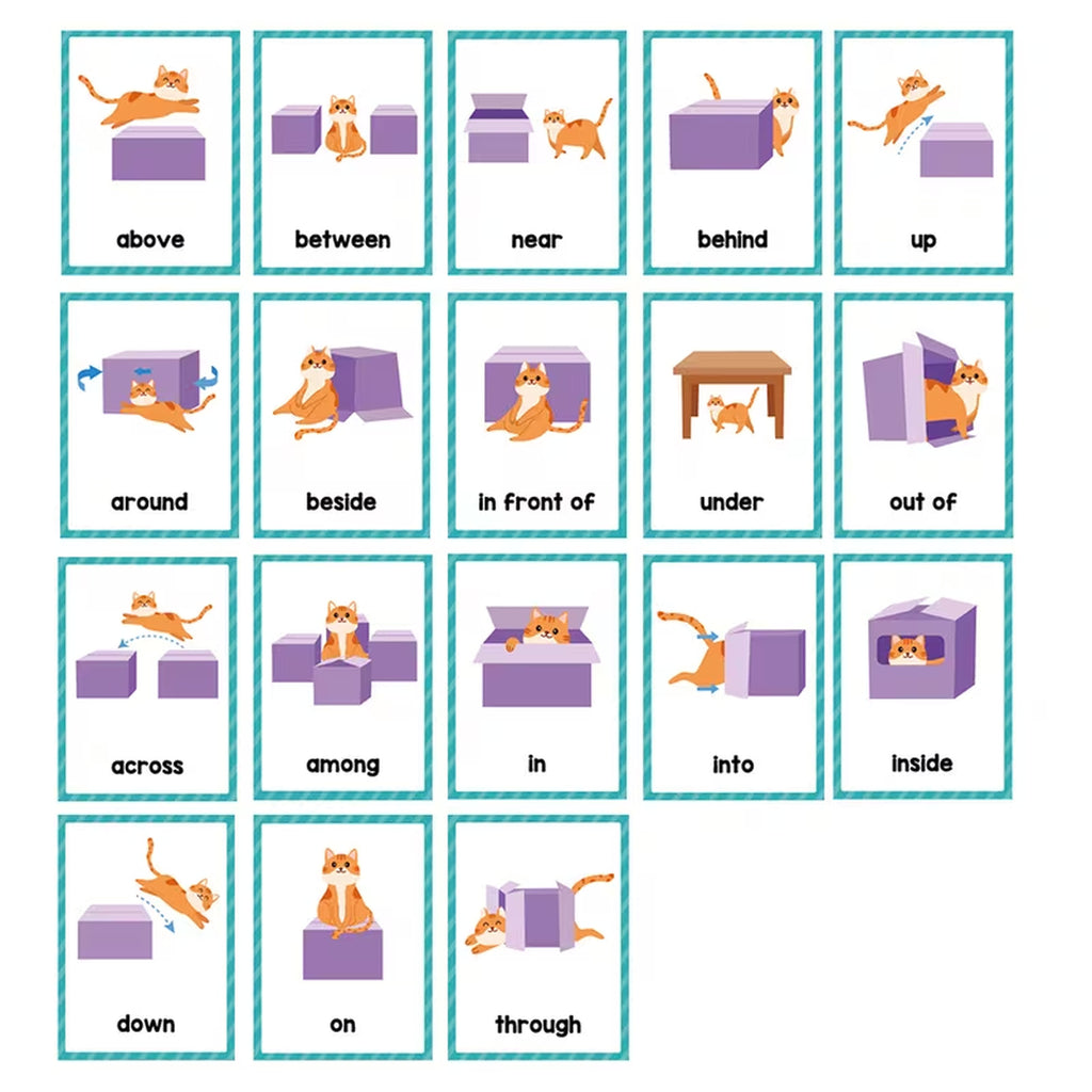 Prepositions Flashcards