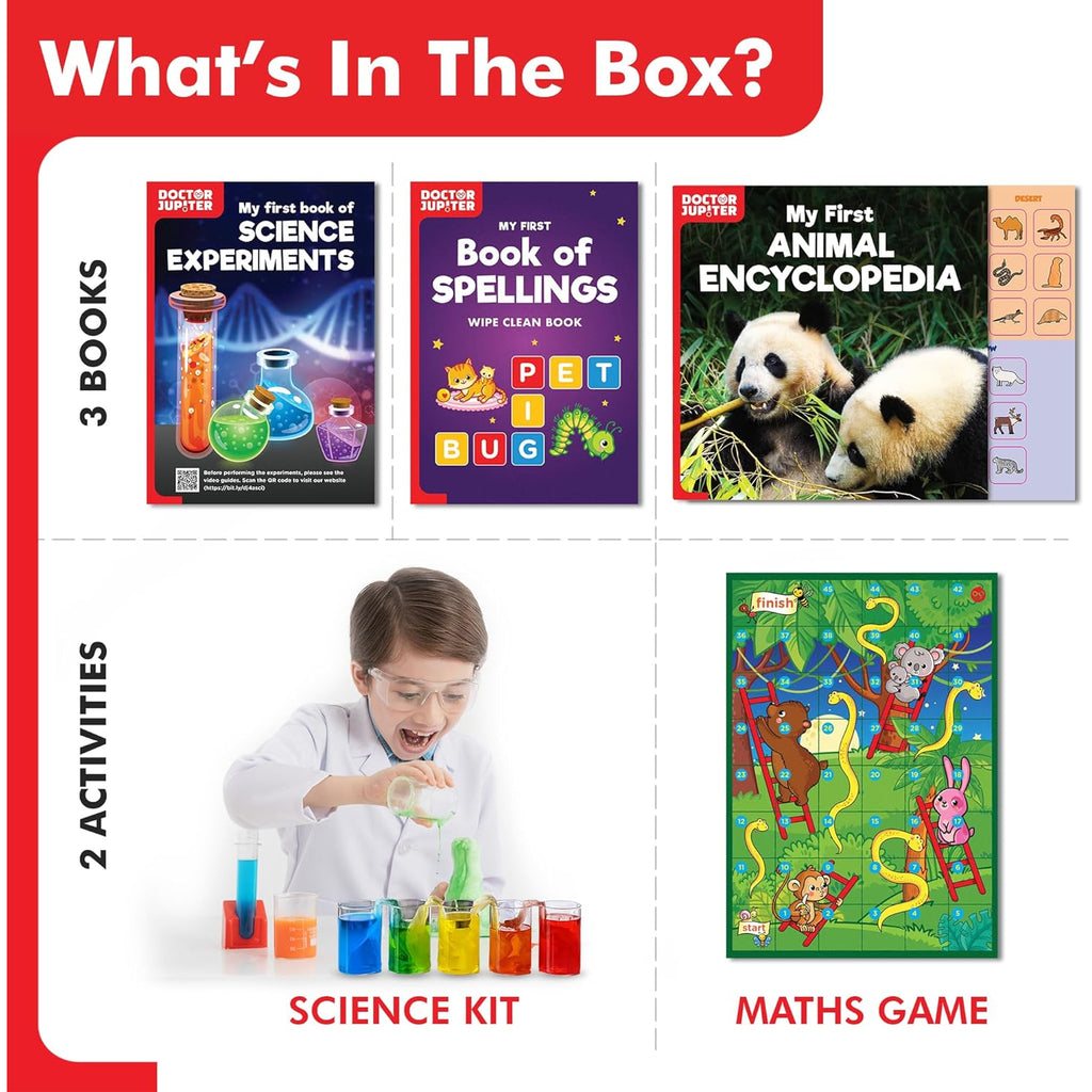 Little Genius Toy Kit