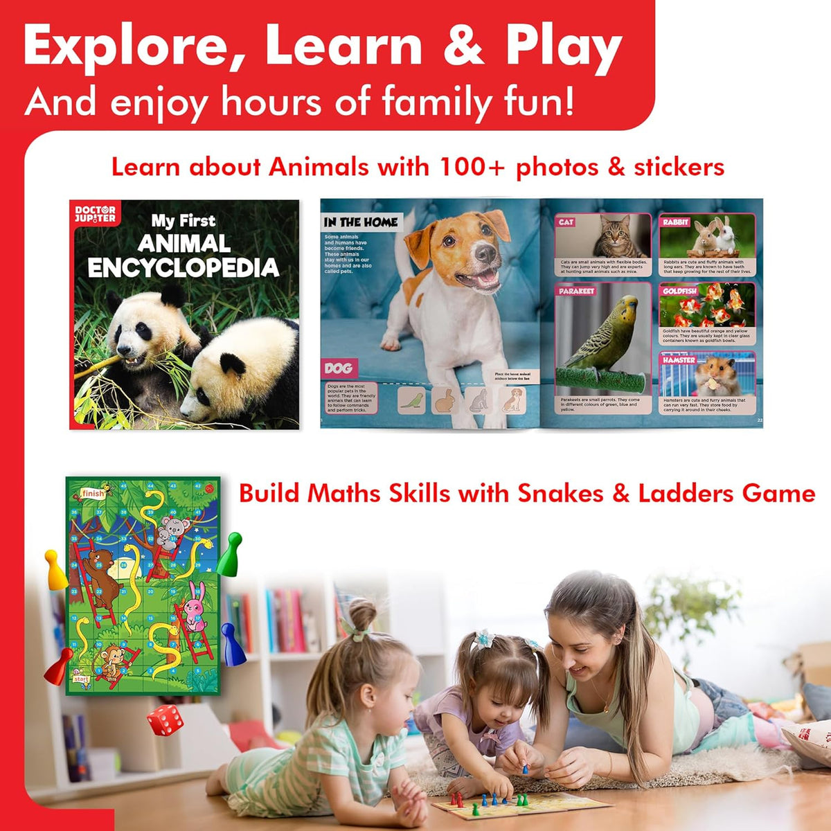 Little Genius Toy Kit